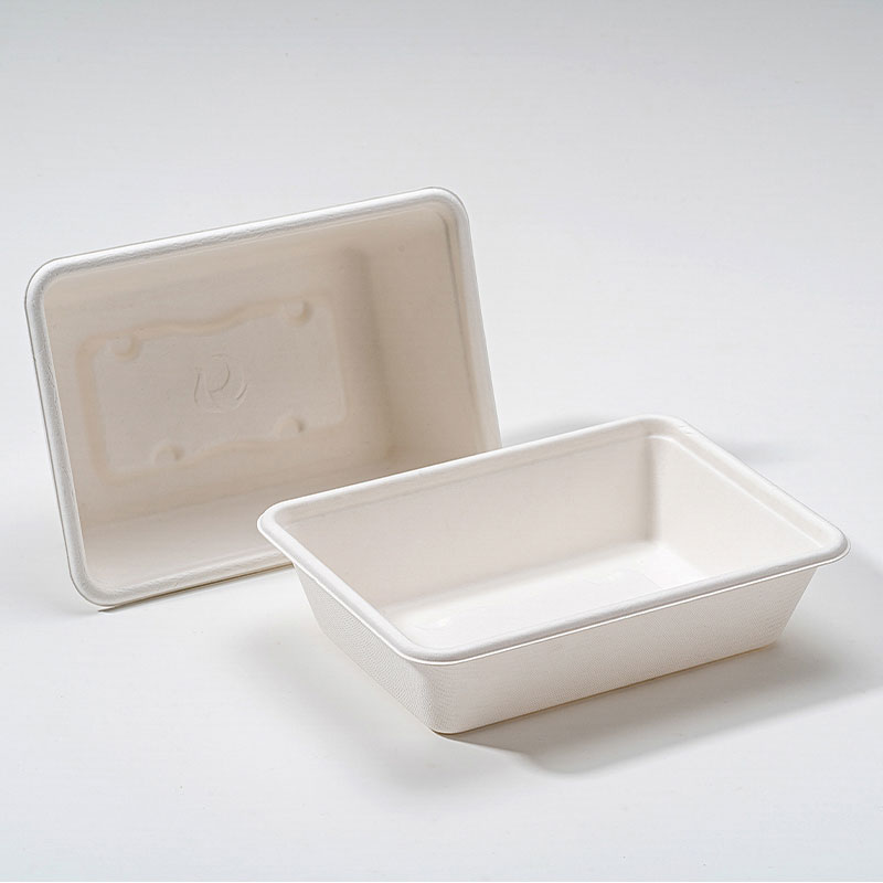 কেন Bagasse স্কয়ার বক্স টেকসই খাদ্য প্যাকেজিং এর ভবিষ্যত?